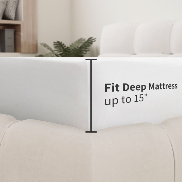 Eider & Ivory™ Hermantown Jersey Knit Fitted Sheet & Reviews Wayfair